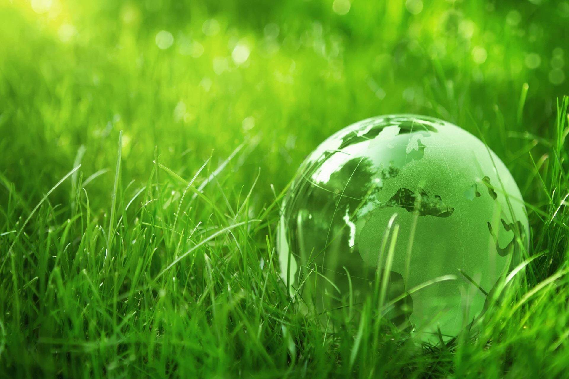 Green Globe in Grass