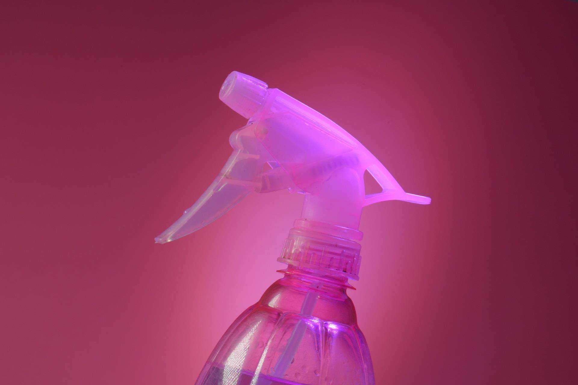 shutterstock 2372505285